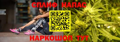 шишки Анапа