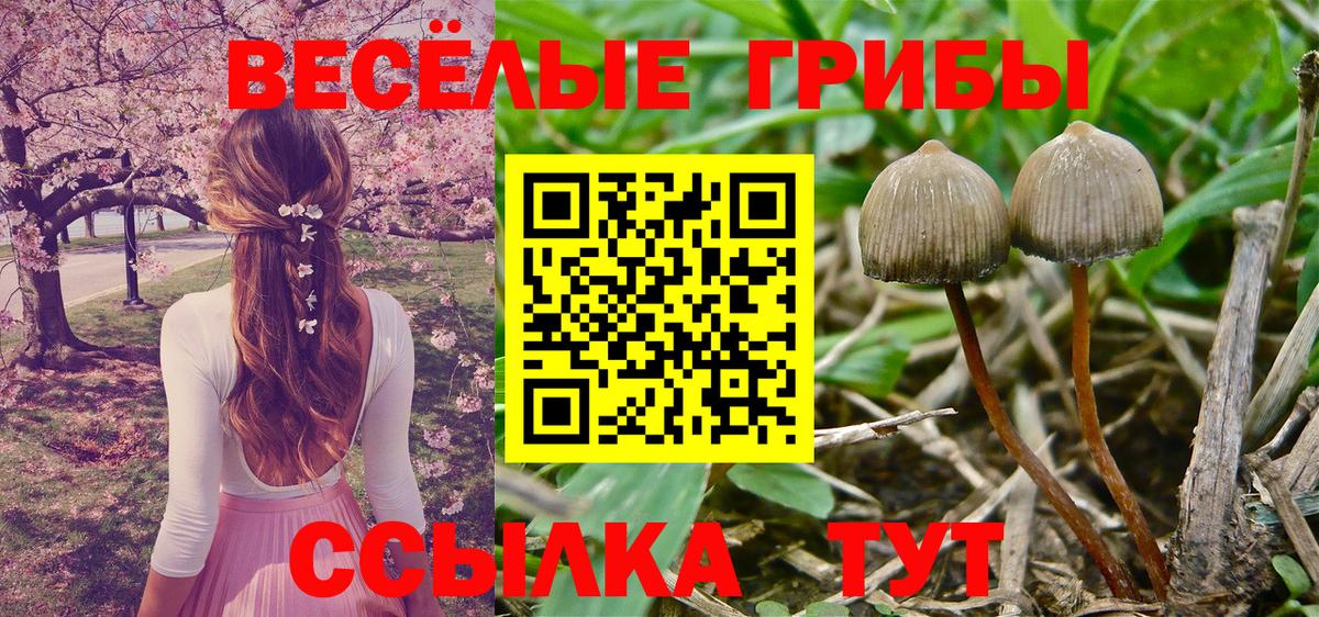 Галлюциногенные грибы мухоморы Бахчисарай